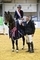 SCOTTISH HORSE OF THE YEAR SHOW 2026